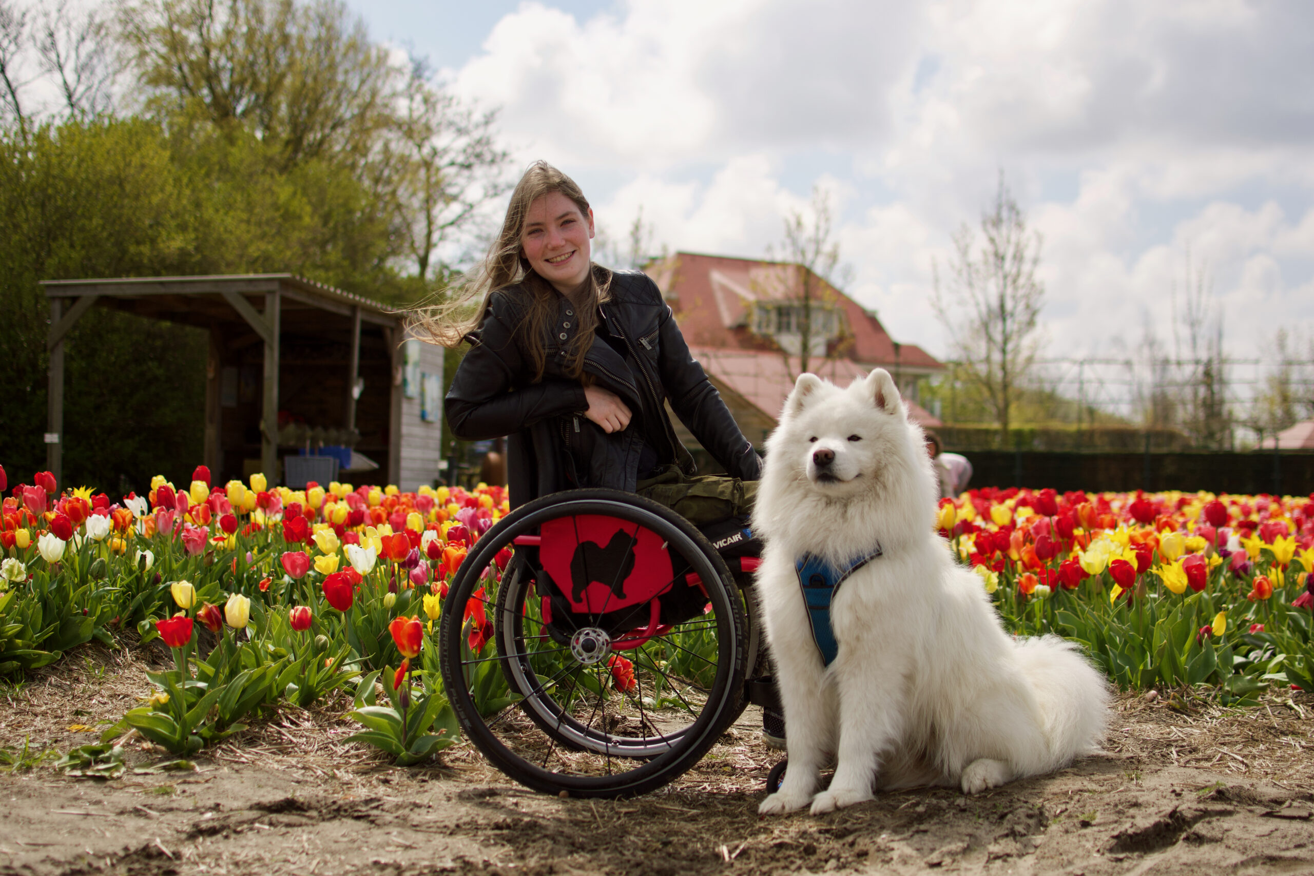 Vicair seating cushions wheelchair